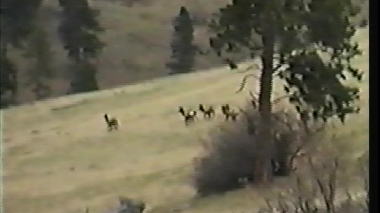 April 12th, 1994. Eastern Oregon's Eagle Cap Wilderness ride.