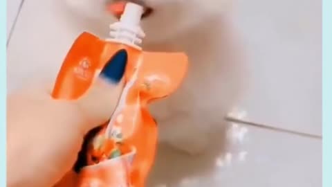 Dog driving the juice,#Amazing dog video, #Dog shorts
