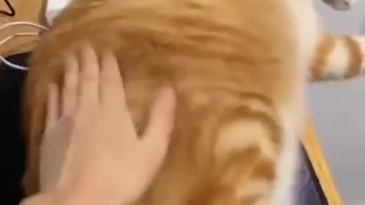 Spanking YES tickling NO 😂