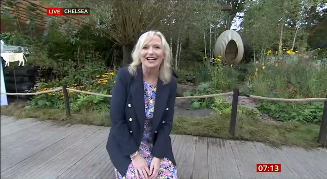 Guide Dog pulls Carol Kirkwood to the ground at Chelsea Flower Show.