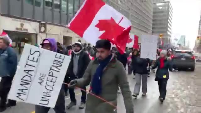 TORONTO CHANTING FREEDOM ON YONGE ST 🇨🇦