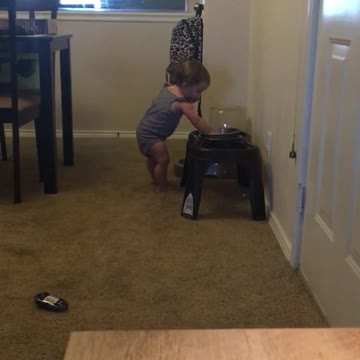 Beba intenta llenar el bowl del perro con agua usando solo su mano