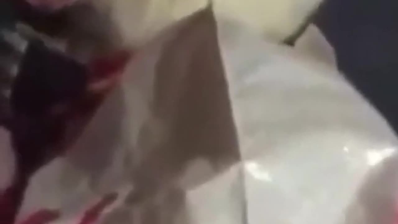 #Funny animals videos