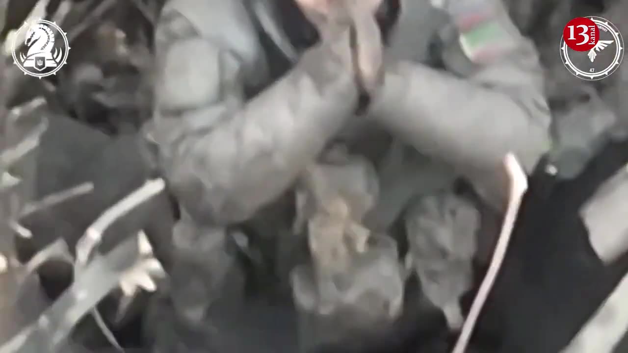 Left without any help, Kadyrovite leaves his “nest" and hides among the trees