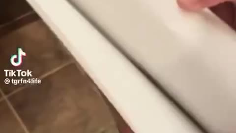 Vote President Trump.