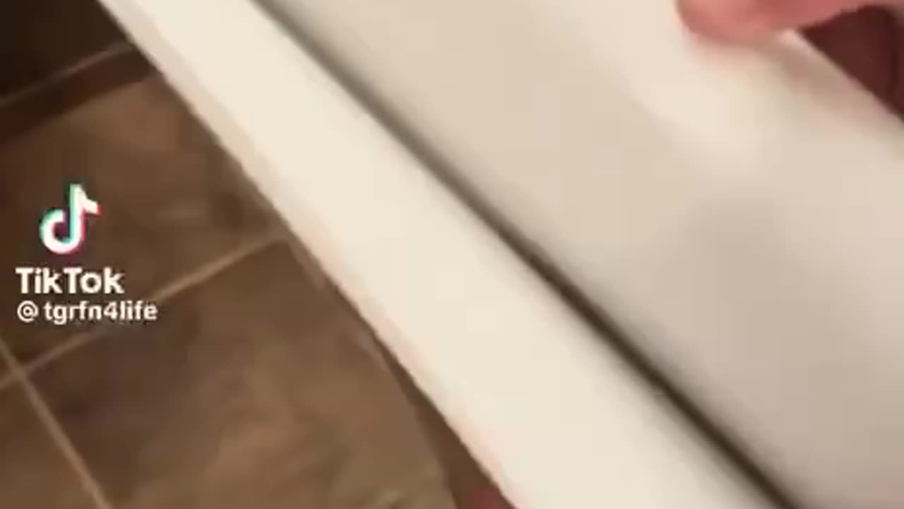 Vote President Trump.