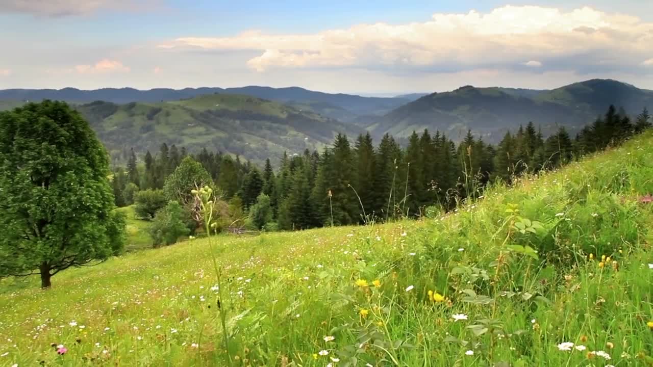 Green hills and meadows were joined under the blue sky