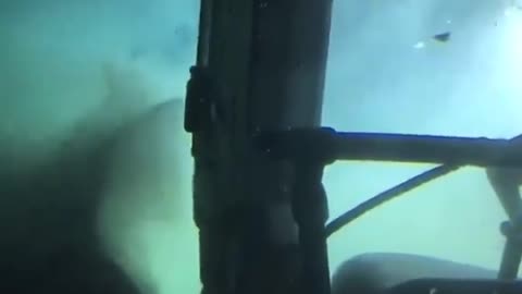 Look at her huge eye