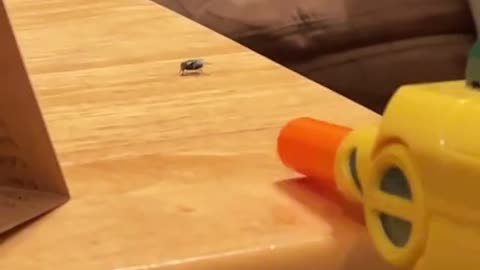 Salt Gun Fully Sends Fly