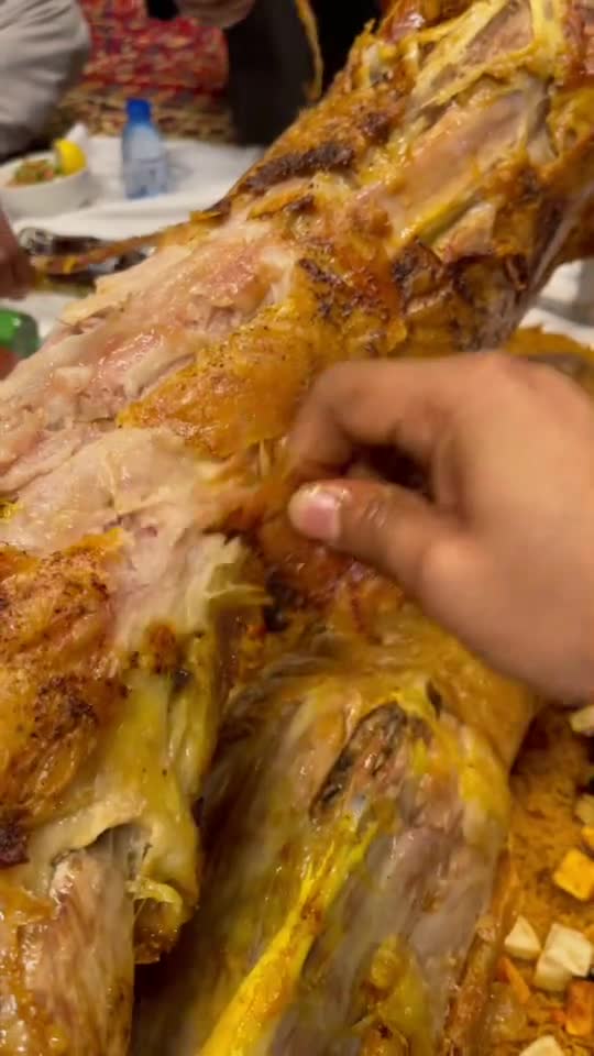 funny|prank|jokes|funny jokes|dad jokes|funny memes|funny video|fun|laughing|funny animal|knock