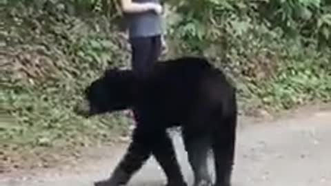 What would you do if suddenly a bear was behind you!!!!