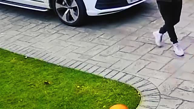funny viral clips