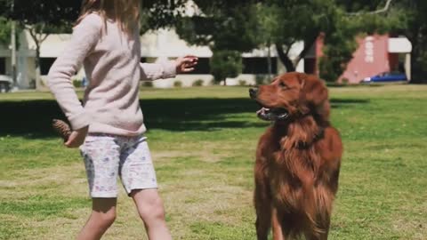 Cute dog