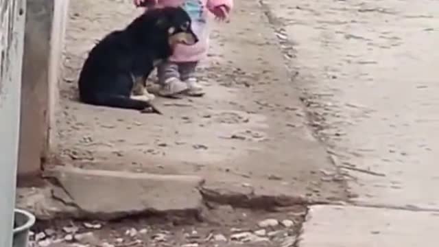 Kid comforts puppy during fireworks by covering its ears