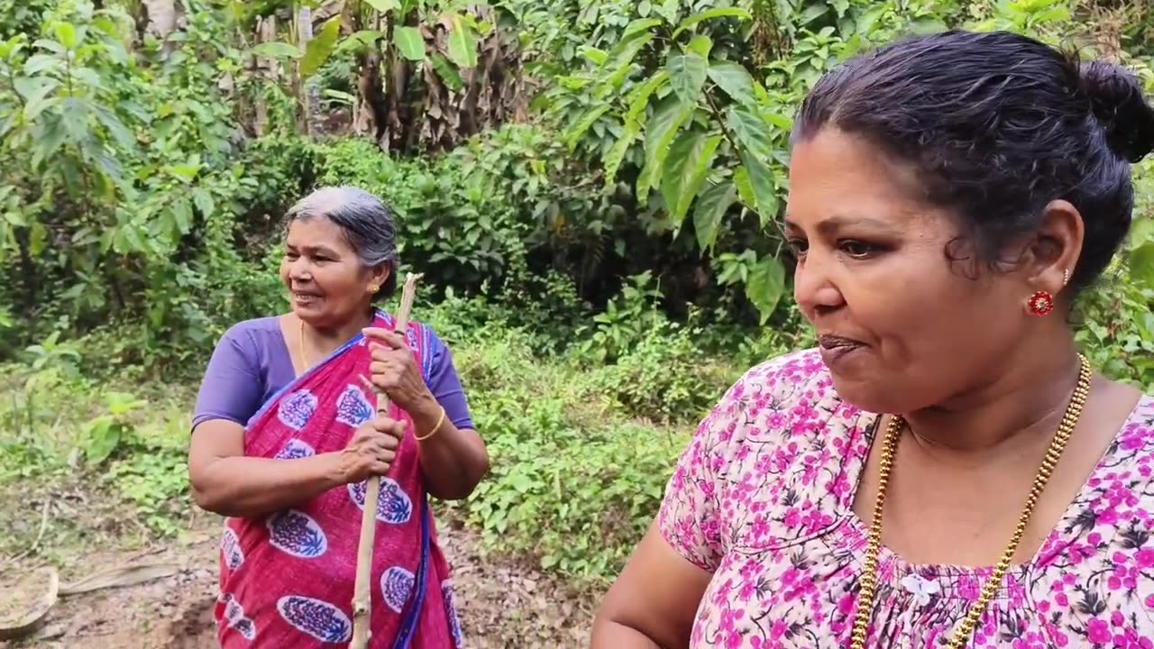 Kerala style village cuisine