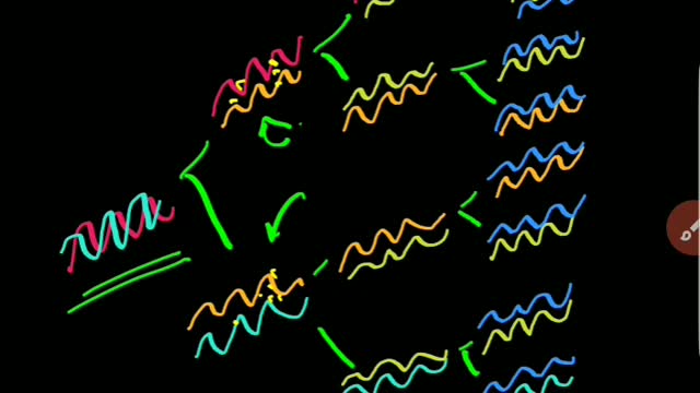 PCR Test - Limitations (Fr)