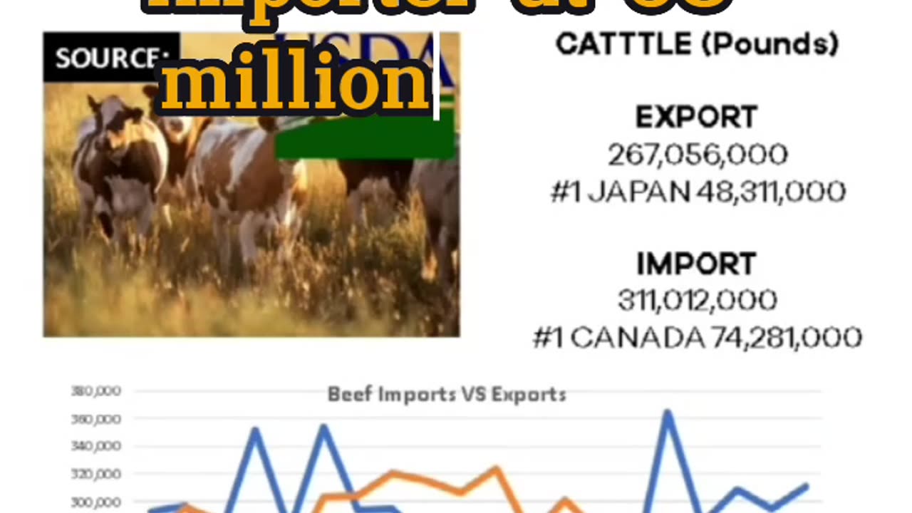 Beef imports and exports