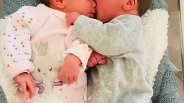 Twin baby boy kisses his lovely twin brother