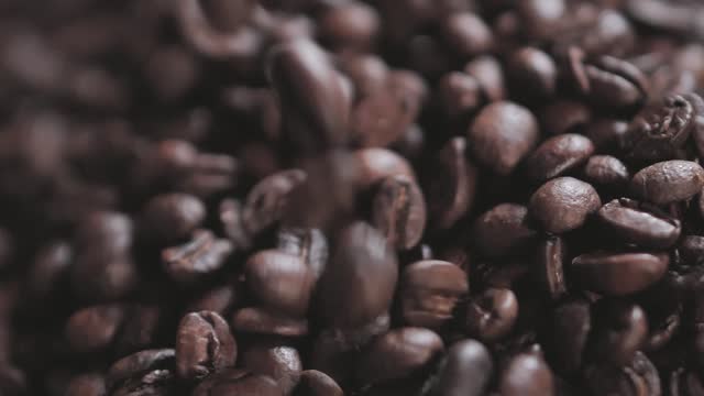 The Coffee Preparation Process