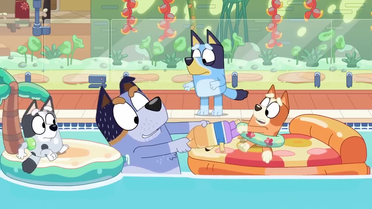 Christmas Swim | Full Episode | Bluey