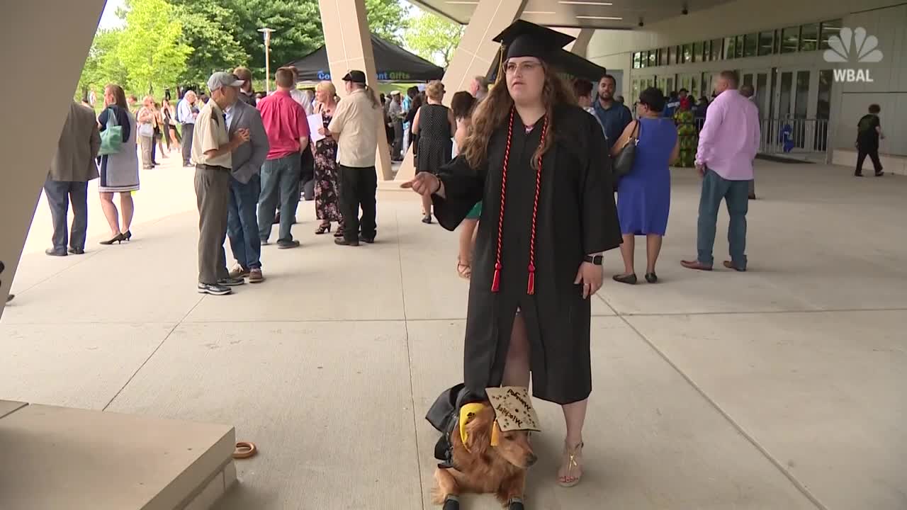 Service Dog Graduates College With Owner