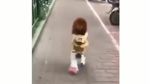 Dog Running Upright with Backpack