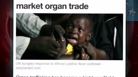 organ harvest children