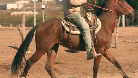 Horse riding