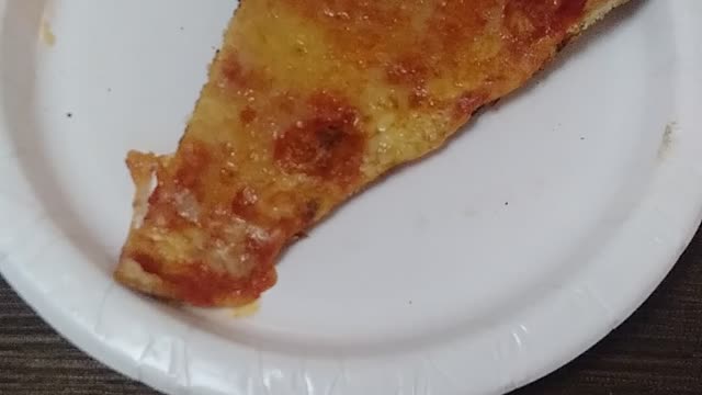 Pizza 🍕 by Jack the Irish wolfhound