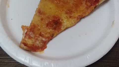 Pizza 🍕 by Jack the Irish wolfhound