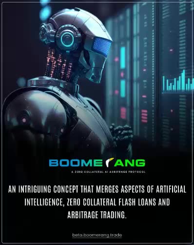 BOOMERANG - AI BOT CRYPTO TRADING PROFITS - TOP TEAM ROB BUSER