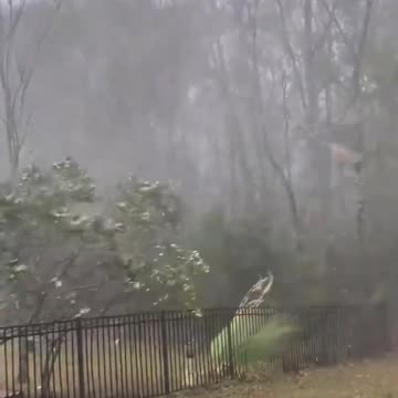 Tornado-warned storm lashes South Carolina yard