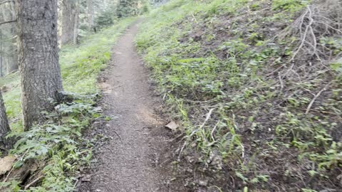 Leaving the Tree Line on Crescent Mountain Trail – Willamette National Forest – Central Oregon – 4K