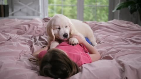 Girl Playing With a Puppy