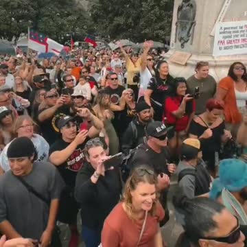 Canadian flag flying high in solidarity amongst New Zealand protest against "Covid Tyranny"