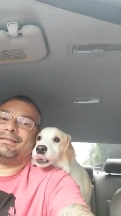 Hombre que conduce un taxi para perritos graba hermosos vídeos con sus traviesos pasajeros