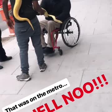 Man holds yellow boa constrictor for guy on wheelchair to pet, snake was on the metro