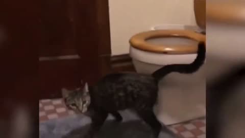 Animals have minds of their own