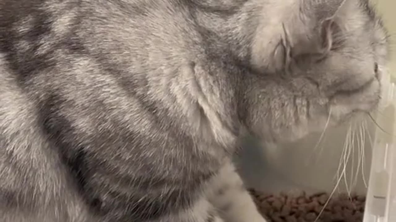 Who's watching me eating?