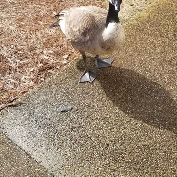 Nice to see you too!