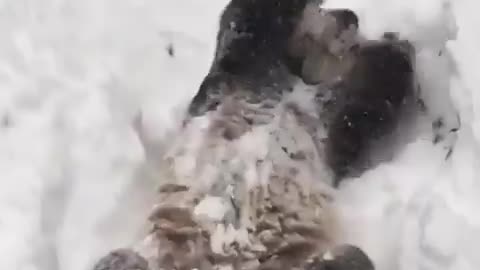 This is the most important video you'll see today!