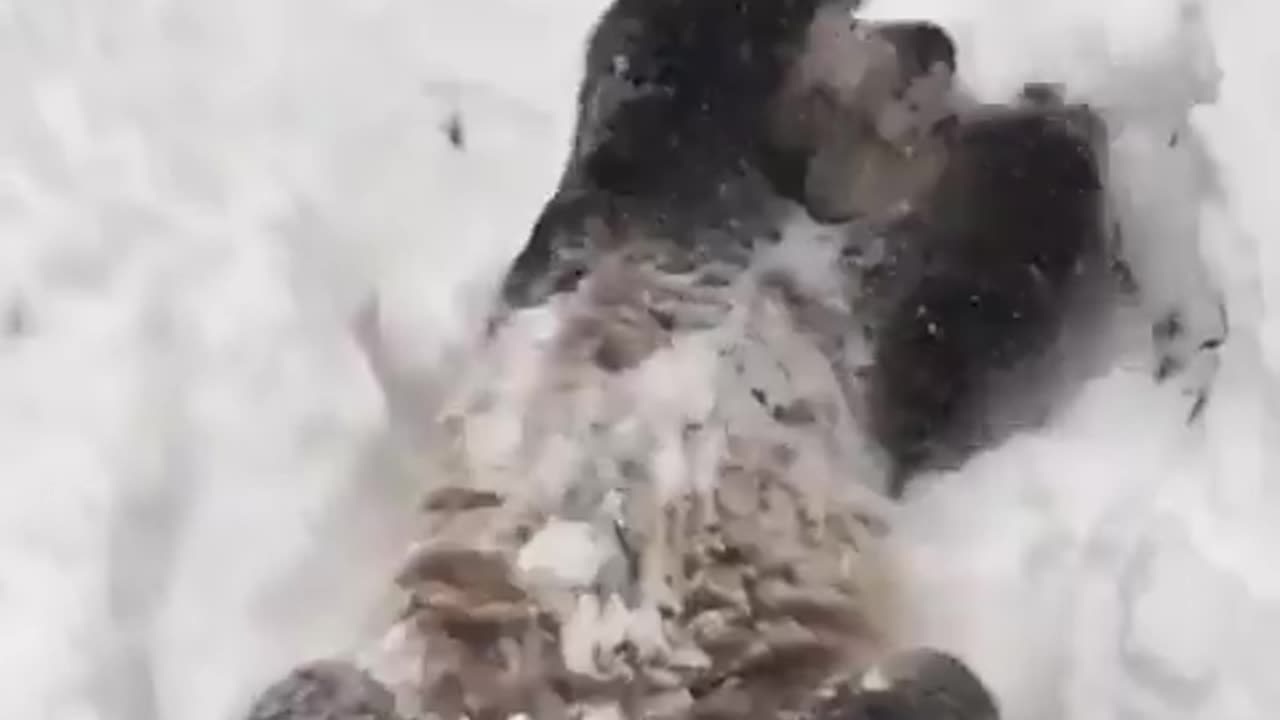 This is the most important video you'll see today!