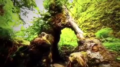 Time with God - December 6