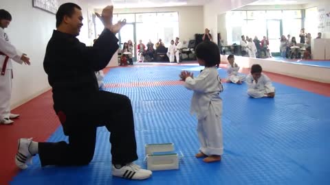 3-Year-Old Tries to Break Board in wood kick