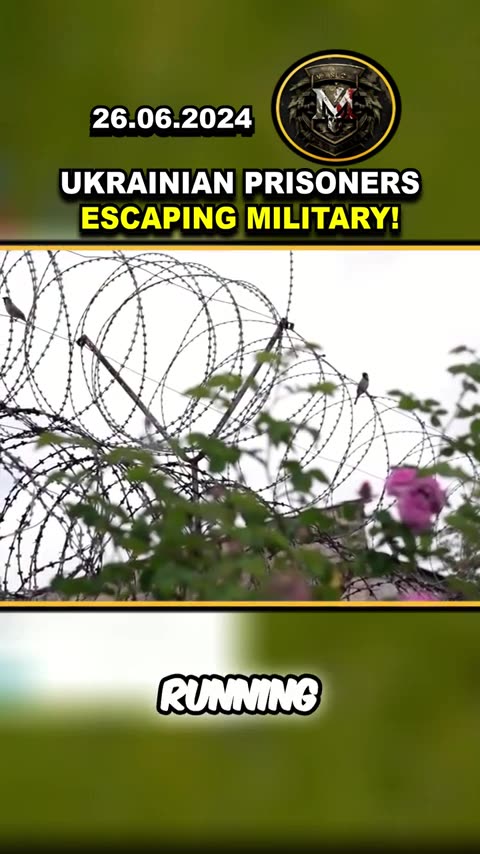 ⚠️ CRISIS IN UKRAINE ARMY UKRAINIAN PRISONERS ESCAPING MILITARY! #ukrainewar #news #shorts