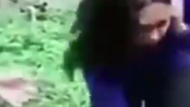Best Funny Animal Videos Dog and cat 2022