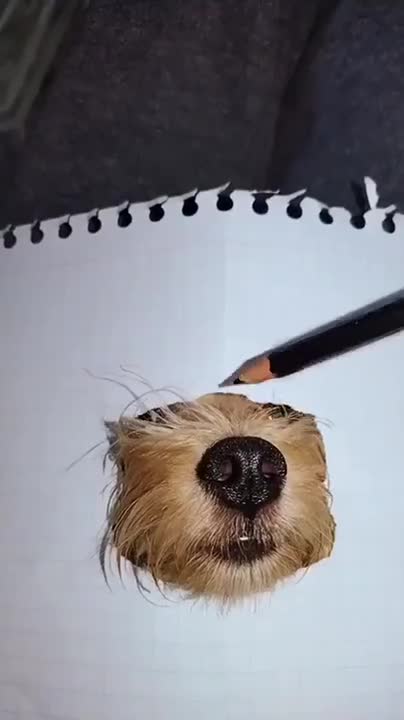 This is how you paint 🎨