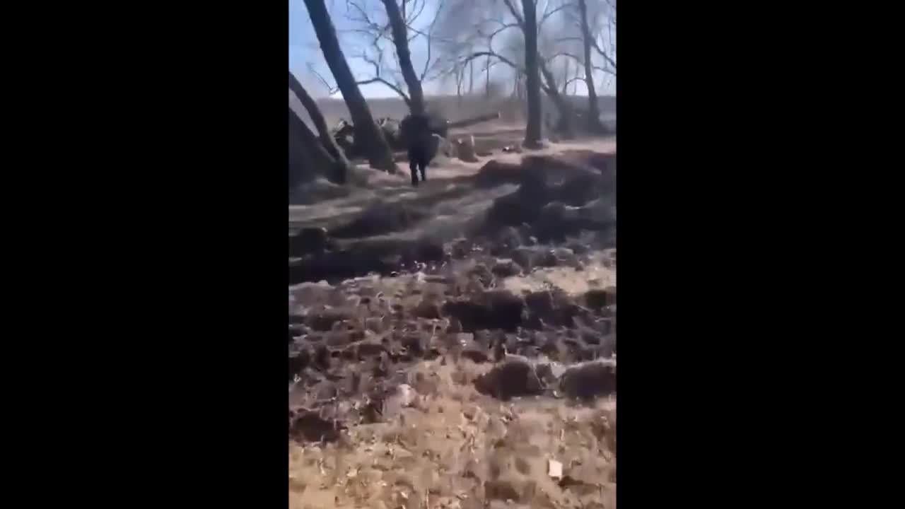 At Least 8 T-72B Tanks Destroyed Or Captured. Kyiv Region.