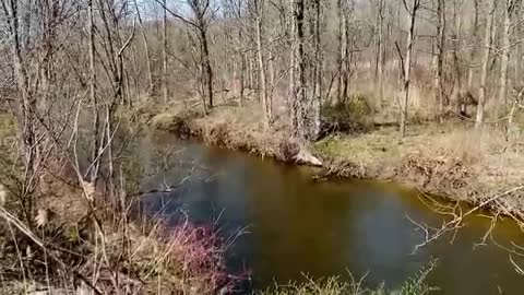 Cruising up Anthony kill creek checking fishing spots