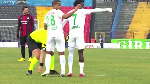 How a dog brought a football match 1